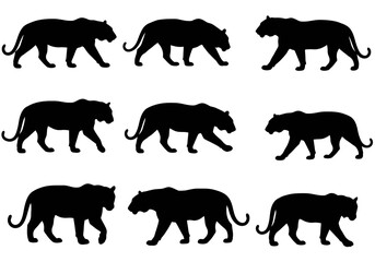 Tigers in Silhouette A Wildlife Pattern