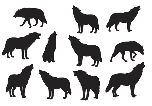 Silhouette Pack Majestic Wolves Howling in the Wild - Vector Illustration