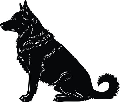 Dog sitting silhouette, alert canine posture, pet animal vector, fur detail illustration, domestic dog icon, flat black artwork