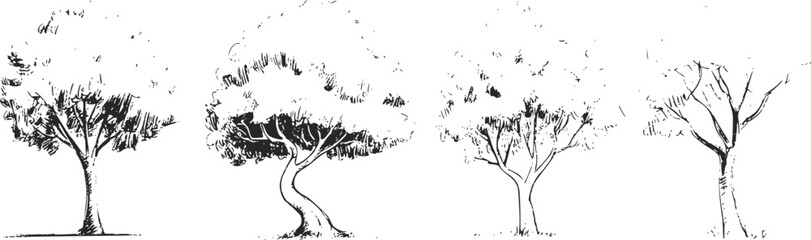 Hand Drawn Tree Illustrations vector