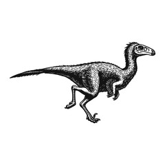 Mononykus Dinosaur Vector Illustrations Clipart Set, Vintage Feathered Raptor Dinosaur, isolated black and white art