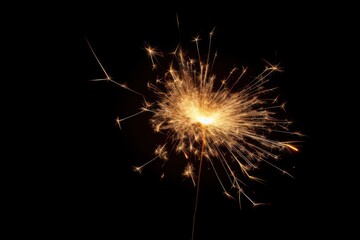 Fototapeta premium Burning shiny sparkler fireworks outdoors burning.