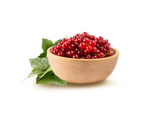 Red currant branch isolated on white background. Currant sprig on white. Red currant isolated on white background. Ripe and tasty currant.