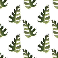 seamless pattern of monstera and philodendron watercolor leaves hand drawn on white background © elenaseiryk