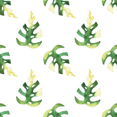 seamless pattern of monstera and philodendron watercolor leaves hand drawn on white background © elenaseiryk