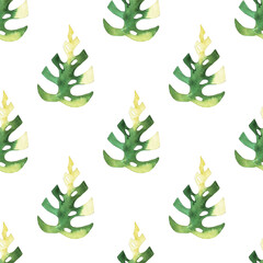 seamless pattern of monstera and philodendron watercolor leaves hand drawn on white background © elenaseiryk