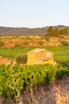 Catalonia Terra Alta vineyard terrain and landscape combine with panorama agriculture and viticulture harvest to underline wine culture in sweeping rural landforms