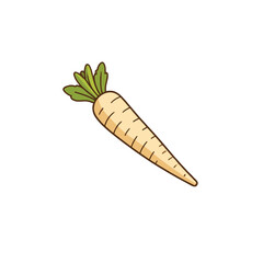 Isolated cartoon parsnip illustration showcasing its creamy coloration, healthy leaves, and
