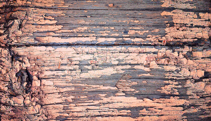 Aged pink paint peeling on wood, forming unique cracked texture. Vintage rustic style perfect as a banner background for home decor, packaging, scrapbooking, crafts and artistic design projects.