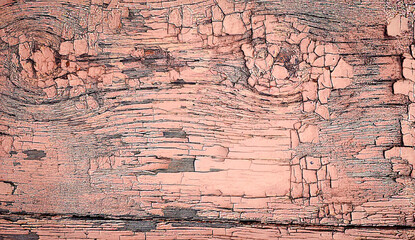 Aged pink paint peeling on wood, forming unique cracked texture. Vintage rustic style perfect as a banner background for home decor, packaging, scrapbooking, crafts and artistic design projects.