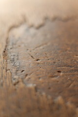 Wooden texture. Close-up of the surface of a wooden board.