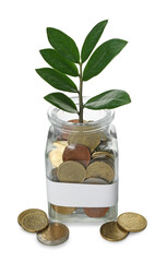 Jar with blank note, money and sprout isolated on white