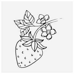 vector illustration of a christmas decoration