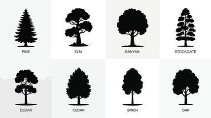 Various tree silhouettes vector icon set