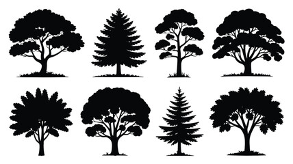Variety of tree shapes forest park nature