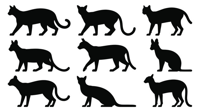 Set of various black cat silhouette icons