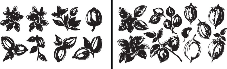 Leaf Line Art, Botanical Outline Drawing, Nature Sketch Illustration, Minimal Leaf Design, Hand Drawn Plant Art, Black and White Leaf Vector, Floral Line Artwork, Botanical Print Design, Garden Illust