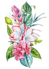 Tropical white and pink flowers with lush green leaves watercolor exotic floral composition for summer decor and design