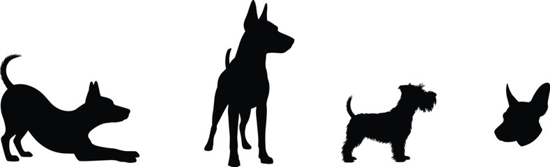 Set of four black dog silhouettes featuring different breeds and poses like stretching, standing, and head profile, cute pet vector illustration isolated on white background for veterinary logo