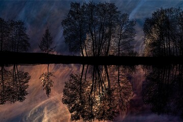 Artistic silhouettes of trees reflected in calm water with an abstract sky in warm tones. Dreamy, serene and atmospheric landscape.