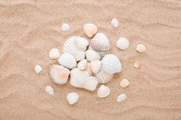 Different beautiful sea shells on light brown dry sand background. Closeup. Top down view.