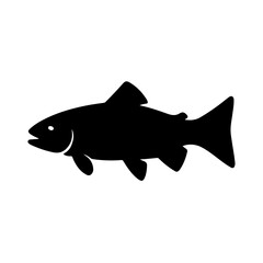 Brown trout fish vector illustration