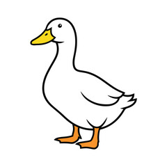Cute Cartoon Duck Illustration  White Farm Duck Vector
