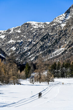 Bever, Val Bever, Winterwanderweg, Winterlandschaft, Wintersport, Holzbank, Oberengadin, Beverin, Fluss, Langlauf, Langlaufloipe, Alpen, Arvenwald, Winter, Graub&uuml;nden, Schweiz