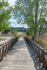 Sunlight filters through the treetops and illuminates the steel log walkway, creating a play of light and shadow on the ground.