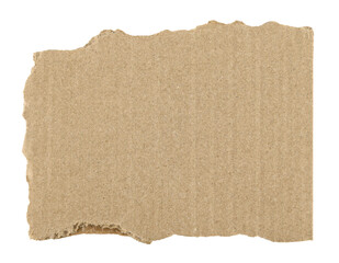 Piece of torn cardboard isolated on a transparent background. Full depth of field. PNG.