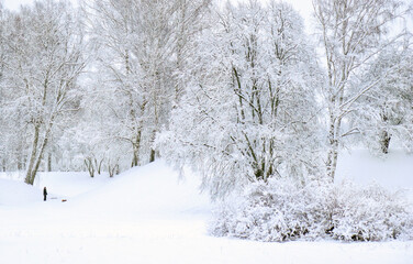 Snow-covered landscape features frosted trees and a solitary figure enjoying winter's beauty in a serene, tranquil environment