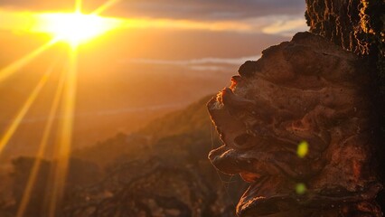 sunrise through a burned out hole in a tree