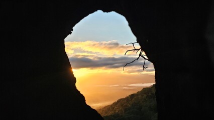 sunrise through a burned out hole in a tree