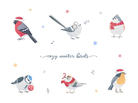 Cozy winter birds set. Bullfinch in Santa hat, titmouse with warm scarf, kinglet and a candy cane. Cute chickadee with Christmas accessories. Winter season songbird illustration for holiday cards.