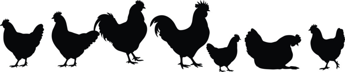 Silhouettes of various chickens and roosters in different poses, highlighting farm life, poultry, and rural lifestyle in nature