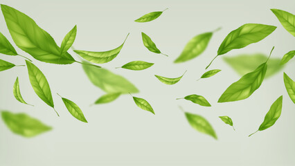 Floating Green Leaves on Light Background, Fresh Nature Theme, Modern Foliage Design, Vector Illustration Background