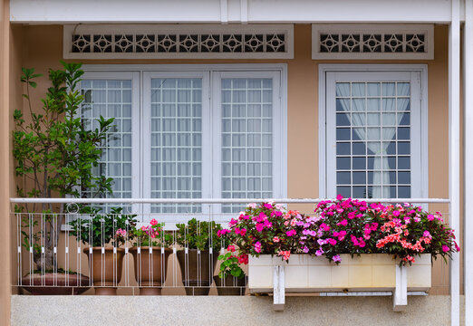 flowers and plants on balcony
