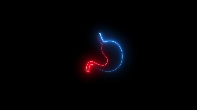 Bright neon outline of human stomach organ depicted on a black background, symbolizing digestion, health or internal medicine concepts in modern digital style.