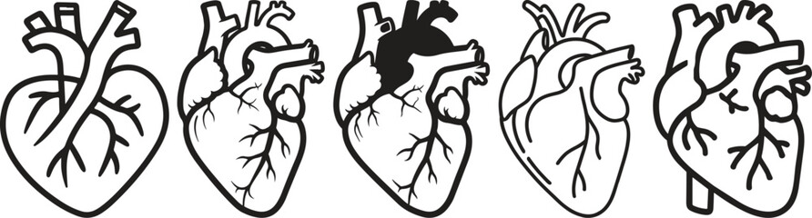 Anatomical heart icon set.Human anatomy internal organ set with brain lung intestine heart kidney liver and stomatch.Healthy Cardiovascular Organ Symbol Collection on White Background and red.