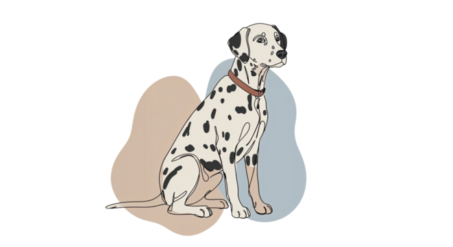 Dalmatian dog sitting calmly against a light background with soft colors and distinct spots