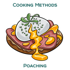 Poaching. Cooking methods. Hand-drawn vector illustration.