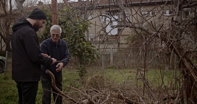 A senior man and a younger man engage in a meaningful conversation while pruning in a garden. They share knowledge, showing generational connection, mentorship, and a bond over shared outdoor work.