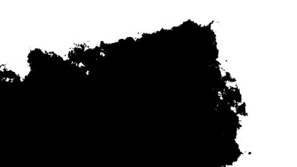 Transitions of black expanding paint stains on white backdrop Grunge Ink spreads and fills the screen. flows and streams. - Powered by Adobe