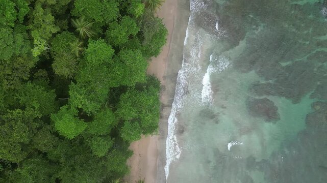 Tropical beach