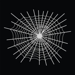 Fototapeta premium Intricate white spider web against a stark black background detailed design