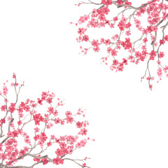 Corners frame of sakura branches. Watercolor handmade illustration. For fabric, wallpaper, greeting cards, design, decoration and illustration. © Nataliia