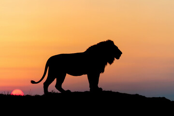 Majestic lion silhouette standing proudly on a hilltop against a vibrant sunset sky