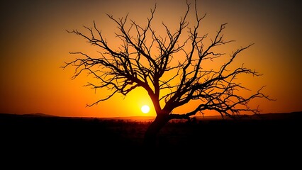 conscription. Barren tree with stark branches against a drought-stricken landscape at sunset. inspiring travel planning, ESG reports, designed for environmental awareness campaigns.