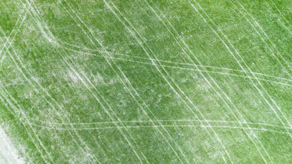 Minimalist Nature Pattern with Green Lines Texture