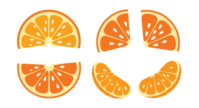 A collection of vibrant orange slices showcasing fresh citrus fruit segments